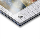 Any Barn is Fine Art to Me Acrylic print