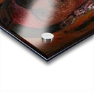 MET_N_YA_ART_RK__5_h Acrylic print