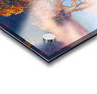 Valley Oaks Acrylic print