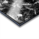 Whispers of Monochrome Palms Acrylic print