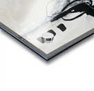 IMG 1213 Acrylic print