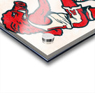 1970s Arkansas Razorback Basketball Cartoon Art Acrylic print