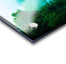 Summer on Fall Creek Ithaca NY Acrylic print