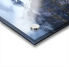 Exploring the Glaciers of Tracy Arm Fjord Acrylic print