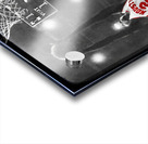 1960s Houston Cougar Slam Acrylic print