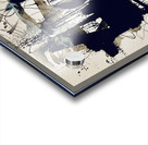 IMG 7447 Acrylic print