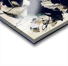 IMG 7448 Acrylic print