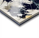 IMG 7446 Acrylic print