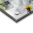 IMG 6857 Acrylic print