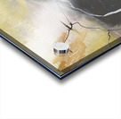 IMG 5797 Acrylic print