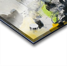 IMG 6854 Acrylic print