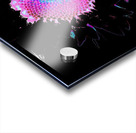 Abstract Pink and Blue Sunflower Acrylic print