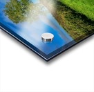 JPT 9810 Acrylic print