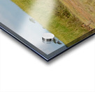 Cheetah Hunting Party Acrylic print