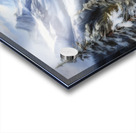 Winter can be So Beautiful Acrylic print