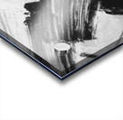 A Wee Bit of Red Acrylic print