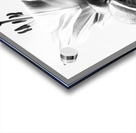  Black and White Lilies                                                                                                                     Acrylic print