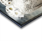 SNOWY 4 Acrylic print