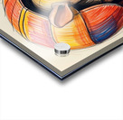 Default A cartoon armadillo curled up in a ball w Acrylic print