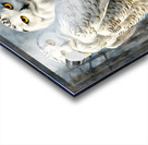 SNOWY 7 Acrylic print