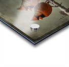 CARDINALS  4 Acrylic print