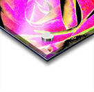 Abstract Neon Rose Acrylic print