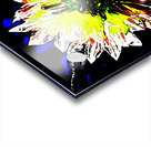 Abstract White and Yellow Flower  Acrylic print