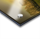 New Beginnings Acrylic print