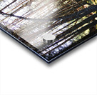   Fairy Dell in the Scottish Highlands                                                                                                                    Acrylic print