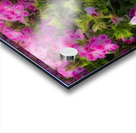 pink pansies2 Acrylic print