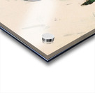 1967 Chicago Bears Art by Terry Smith Acrylic print