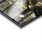   Scottish Highlands Spring Sunlight                                                                                                                    Acrylic print