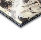 1909 Honus Wagner and Ty Cobb Acrylic print