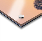 Solitude at Dusk – Minimalist Tree Silhouette Against Sunset Hills Acrylic print