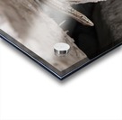 A.P.Polo - Pyrenees Acrylic print