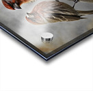 HOUSE FINCH 2 SC Acrylic print