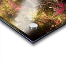 Meet at the Bench in the Rose Garden Acrylic print