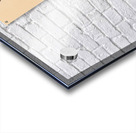 Female Anime Character Acrylic print