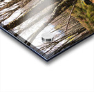 Springs Hello for the Scottish Highlands                                                                                                                      Acrylic print