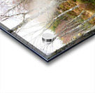 Springs Woodland in the Scottish Highlands                                                                                                                       Acrylic print