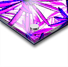  Abstract Pink and Purple Lupin Leaves                                                                                                                     Acrylic print