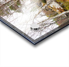   Fairies Delight in the Scottish Highlands                                                                                                                    Acrylic print