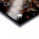 Sprocklit Acrylic print