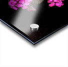 Portrait of Plants- Colour Out of Darkness Acrylic print