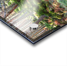 Scenes from the Trail- The Fairies Path                                                                                                                      Acrylic print