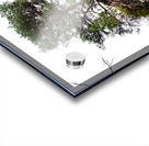 Scenes from the Trail- Rock Hard Pine                                                                                                                       Acrylic print