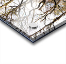  Fairies Labyrinth in the Scottish Highlands                                                                                                                     Acrylic print