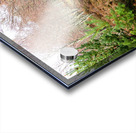 Aprils Spring Walk Through the Scottish Highlands                                                                                                                      Acrylic print