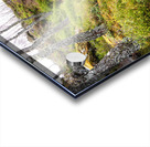    Spring Nature Path Through The Scottish Highlands                                                                                                                    Acrylic print