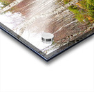  Birch Forest View in the Scottish Highlands                                                                                                                      Acrylic print